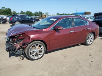  Salvage Nissan Maxima