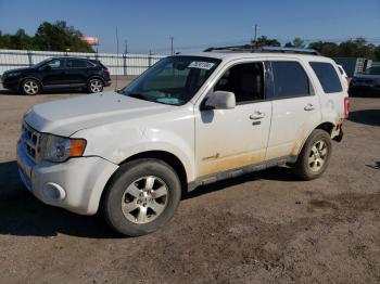  Salvage Ford Escape