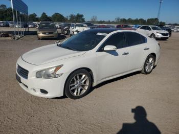  Salvage Nissan Maxima