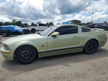  Salvage Ford Mustang