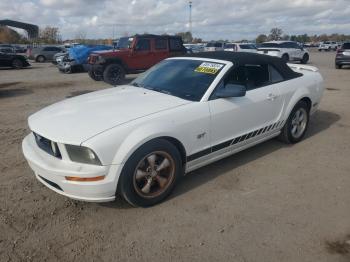  Salvage Ford Mustang