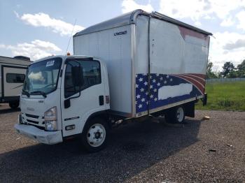  Salvage Isuzu Nqr