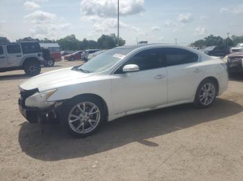  Salvage Nissan Maxima