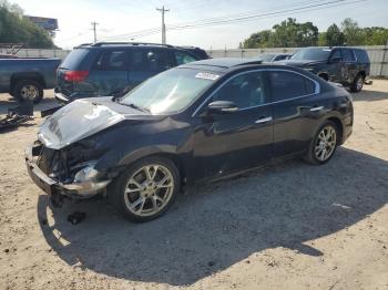  Salvage Nissan Maxima