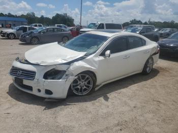  Salvage Nissan Maxima