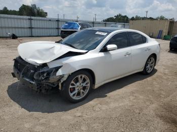  Salvage Nissan Maxima