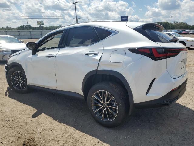 Lexus NX 250 Premium Image 4