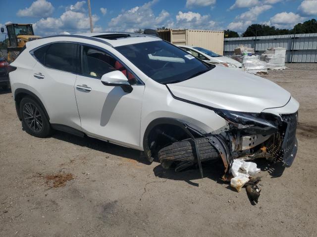 Lexus NX 250 Premium Image 3