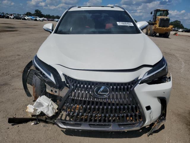 Lexus NX 250 Premium Image 12