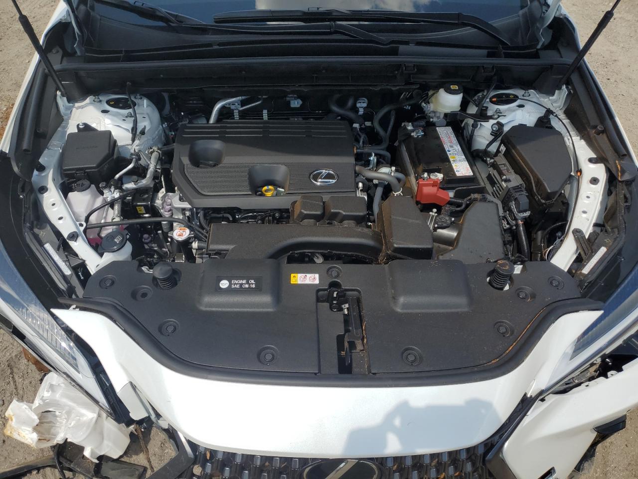 Lexus NX 250 Premium Image 13