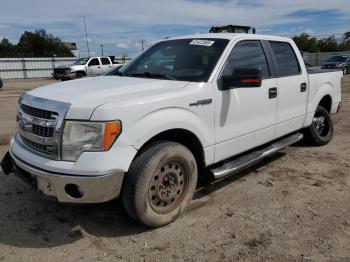  Salvage Ford F-150