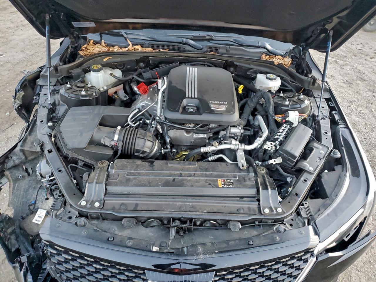 Cadillac CT4 Premium Luxury Image 8